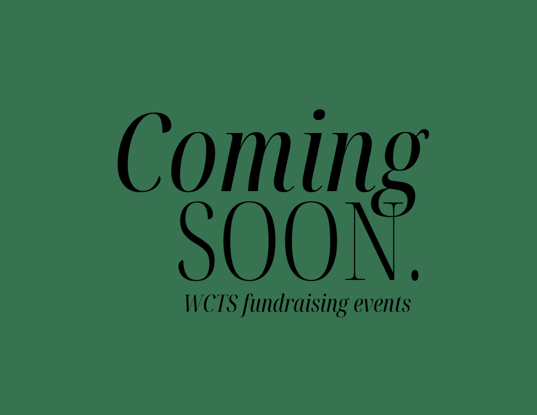 Fundraising - WCTS